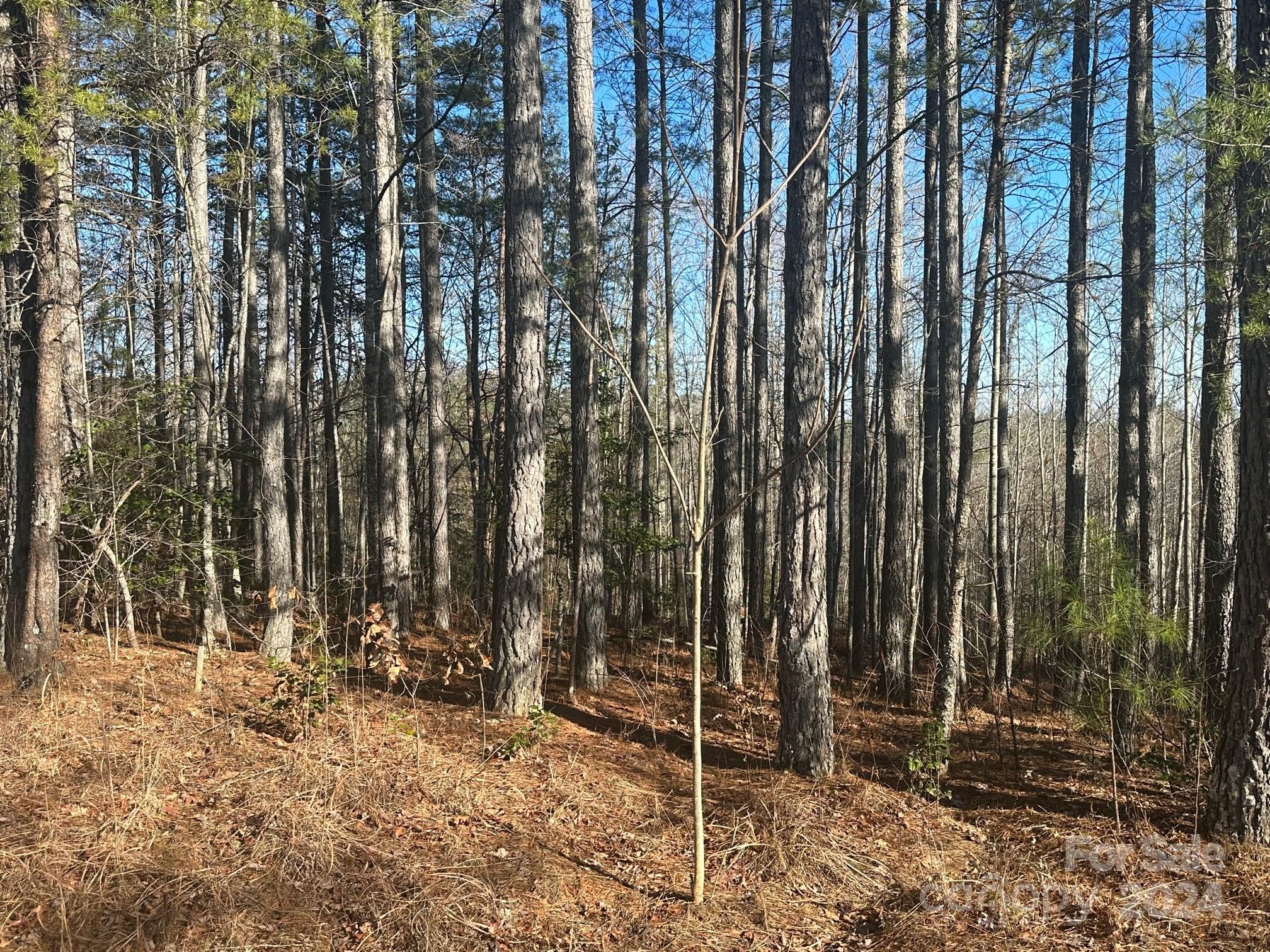 0000 Pine Cone Trail, Rutherfordton, NC 28139 - MLS 4124413 - Coldwell ...