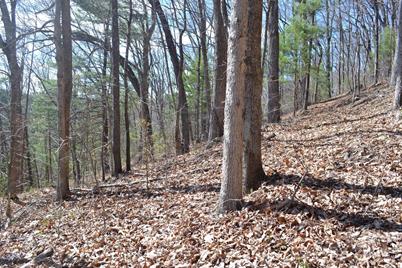 Lot 8 Town Mountain Road, Asheville, NC 28804 - Photo 7