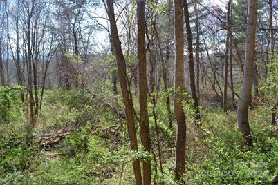 Lot 8 Town Mountain Road, Asheville, NC 28804 - Photo 5