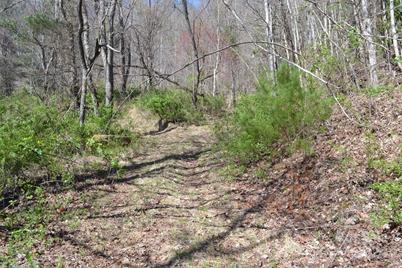 Lot 9 Town Mountain Road, Asheville, NC 28804 - Photo 11