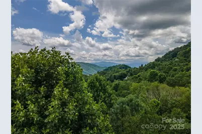 00 Troutman Trail, Leicester, NC 28748 - Photo 11