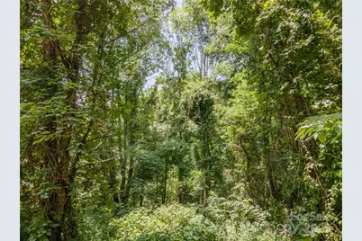 00 Troutman Trail, Leicester, NC 28748 - Photo 3