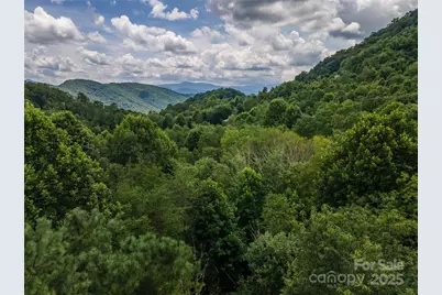 00 Troutman Trail, Leicester, NC 28748 - Photo 9