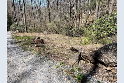 000 Pisgah Mountain Road, Canton, NC 28716 - Photo 3