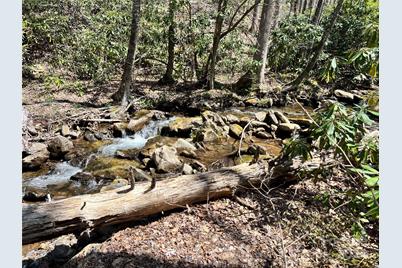 000 Pisgah Mountain Road, Canton, NC 28716 - Photo 5