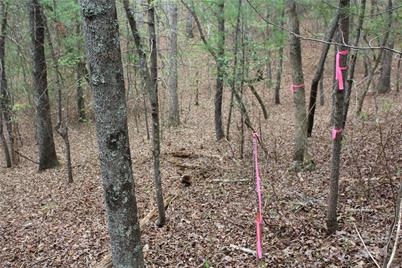 350 Sycamore Avenue NW #6 & 2, Valdese, NC 28690 - Photo 15