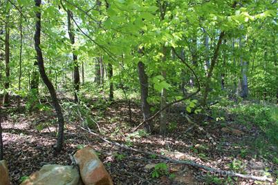 0000 Davis Circle, Clover, SC 29710 - Photo 7