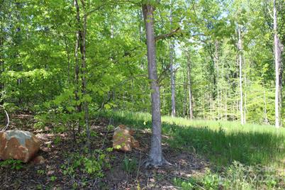 0000 Davis Circle, Clover, SC 29710 - Photo 9