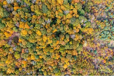 1375 Swing Road, Burnsville, NC 28714 - Photo 9