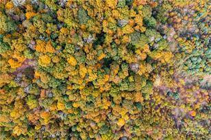 1375 Swing Rd, Burnsville, NC 28714 - Photo 9