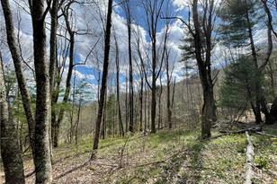 1375 Swing Rd, Burnsville, NC 28714 - Photo 41