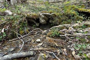 1375 Swing Rd, Burnsville, NC 28714 - Photo 47