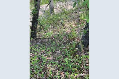 0000 Cawood Lane, Clyde, NC 28721 - Photo 9