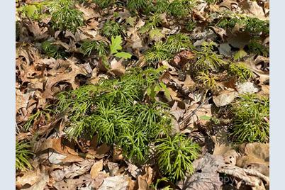 0000 Cawood Lane, Clyde, NC 28721 - Photo 17