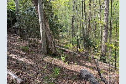 0000 Cawood Lane, Clyde, NC 28721 - Photo 7