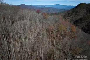 0 East Silvermine Rd, Bryson City, NC 28713 - Photo 9