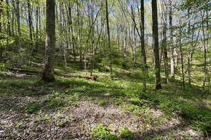 0 East Silvermine Rd, Bryson City, NC 28713 - Photo 5