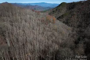 0 East Silvermine Rd, Bryson City, NC 28713 - Photo 13