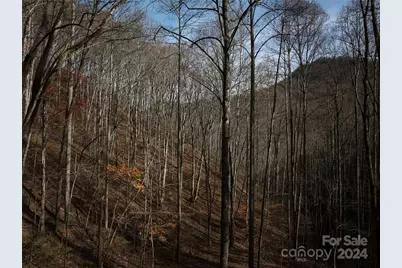 0 East Silvermine Road, Bryson City, NC 28713 - Photo 15