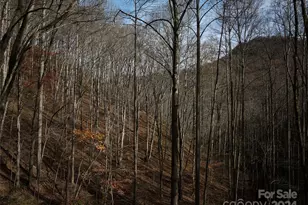 0 East Silvermine Rd, Bryson City, NC 28713 - Photo 15