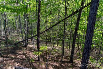 99999 Shady Bark Lane #41, Rutherfordton, NC 28139 - Photo 21