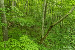 98 Goldenleaf Rd, Mars Hill, NC 28754 - Photo 23