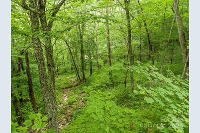 98 Goldenleaf Road #98, Mars Hill, NC 28754 - Photo 17