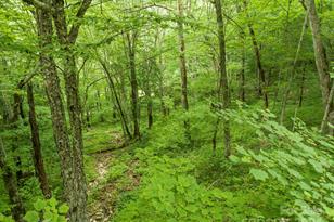 98 Goldenleaf Rd, Mars Hill, NC 28754 - Photo 17