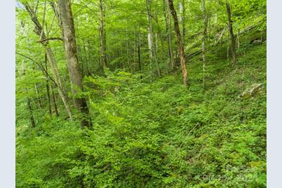 98 Goldenleaf Road #98, Mars Hill, NC 28754 - Photo 19