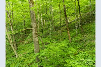 98 Goldenleaf Road #98, Mars Hill, NC 28754 - Photo 21
