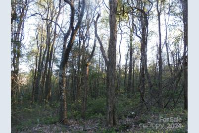 288 Firetower Road, Spruce Pine, NC 28777 - Photo 35