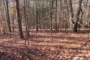 00 High Peak Dr, Burnsville, NC 28714 - Photo 9