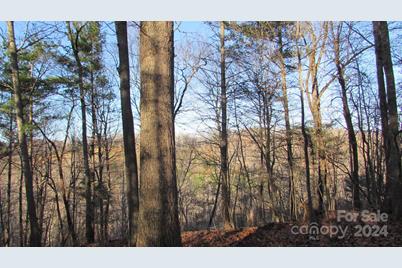 00 High Peak Drive #61, Burnsville, NC 28714 - Photo 11