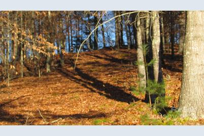 00 High Peak Drive #61, Burnsville, NC 28714 - Photo 3