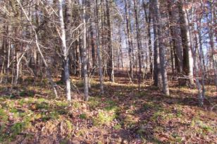 00 High Peak Dr, Burnsville, NC 28714 - Photo 15