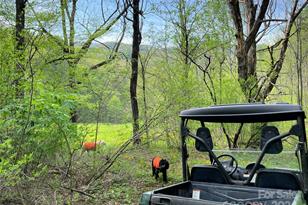 2180 Pigeon Roost Rd, Green Mountain, NC 28740 - Photo 41