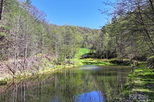 2180 Pigeon Roost Rd, Green Mountain, NC 28740 - Photo 5