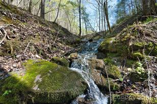 2180 Pigeon Roost Rd, Green Mountain, NC 28740 - Photo 7