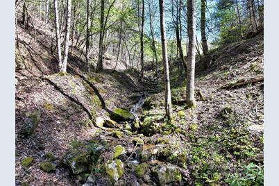 2180 Pigeon Roost Road, Green Mountain, NC 28740 - Photo 31