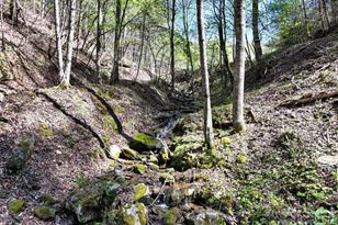 2180 Pigeon Roost Rd, Green Mountain, NC 28740 - Photo 31