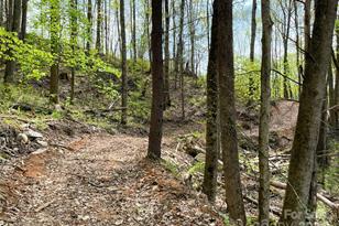 2180 Pigeon Roost Rd, Green Mountain, NC 28740 - Photo 39