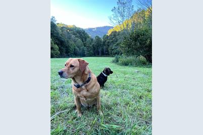 2180 Pigeon Roost Road, Green Mountain, NC 28740 - Photo 43