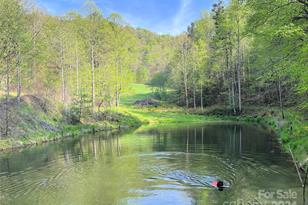 2180 Pigeon Roost Rd, Green Mountain, NC 28740 - Photo 47