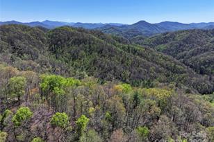 2180 Pigeon Roost Rd, Green Mountain, NC 28740 - Photo 37