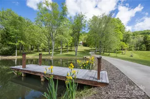 116 Sams Branch Rd, Candler, NC 28715 - Photo 5