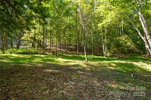 116 Sams Branch Rd, Candler, NC 28715 - Photo 41