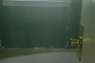 335 Rosenwald School St, Catawba, NC 28609 - Photo 11