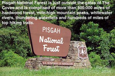 4.77 Acres, Lot 245 Johns Ridge Parkway #245, Lenoir, NC 28645 - Photo 43