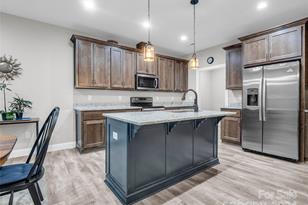 10305 Green River Cove Rd, Saluda, NC 28773 - Photo 15