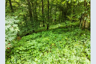 948 Lookout Drive #948 & 949, Mars Hill, NC 28754 - Photo 29